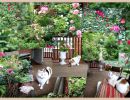 cali on porch with garden roses